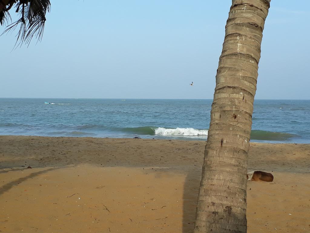 Anicia Beach House Negombo Exterior photo
